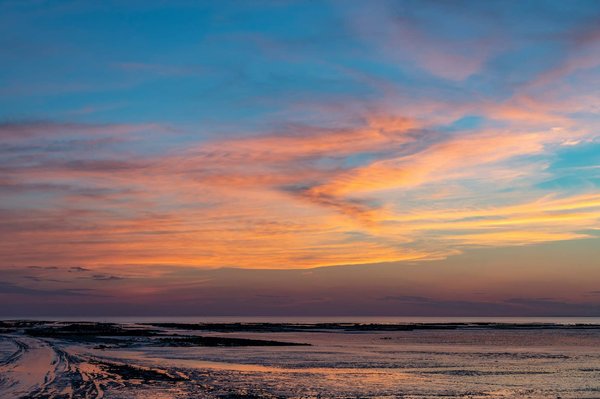 Quelles croisières proposent des excursions pour découvrir les plages secrètes des îles Seychelles?